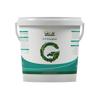 کود اچ پی اور گرو گروف