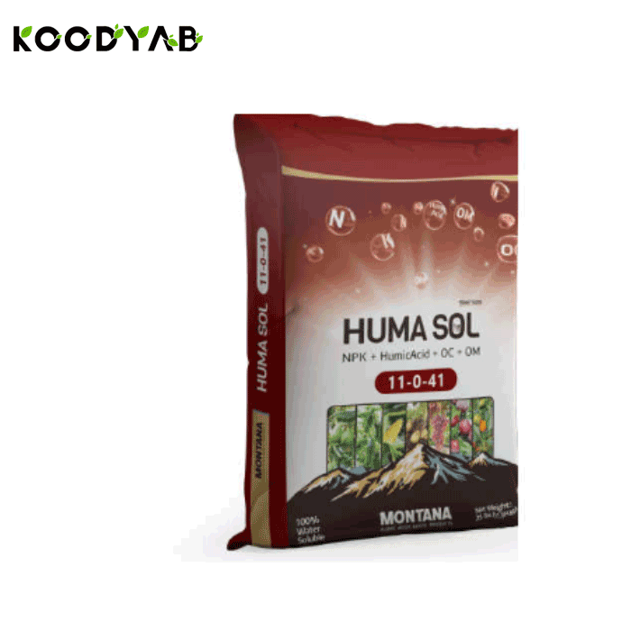 کود 11 0 41  مونتانا