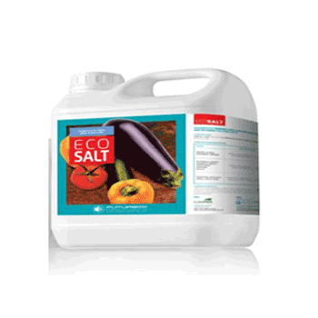  کود اکو سالت فیوچرکو