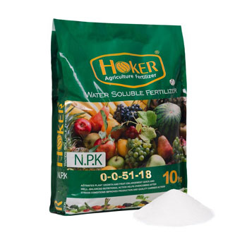 کود سولوپتاس هوکر