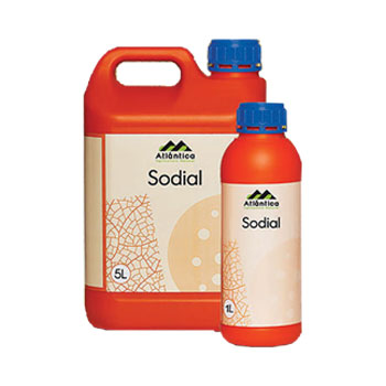 کود سودیال آتلانتیکا