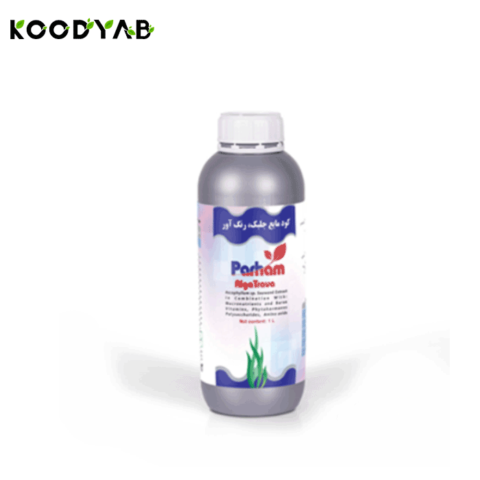 کود آلگا تراوا پرهام