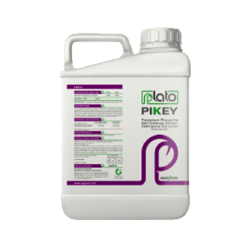 کود پی کی پلاتو