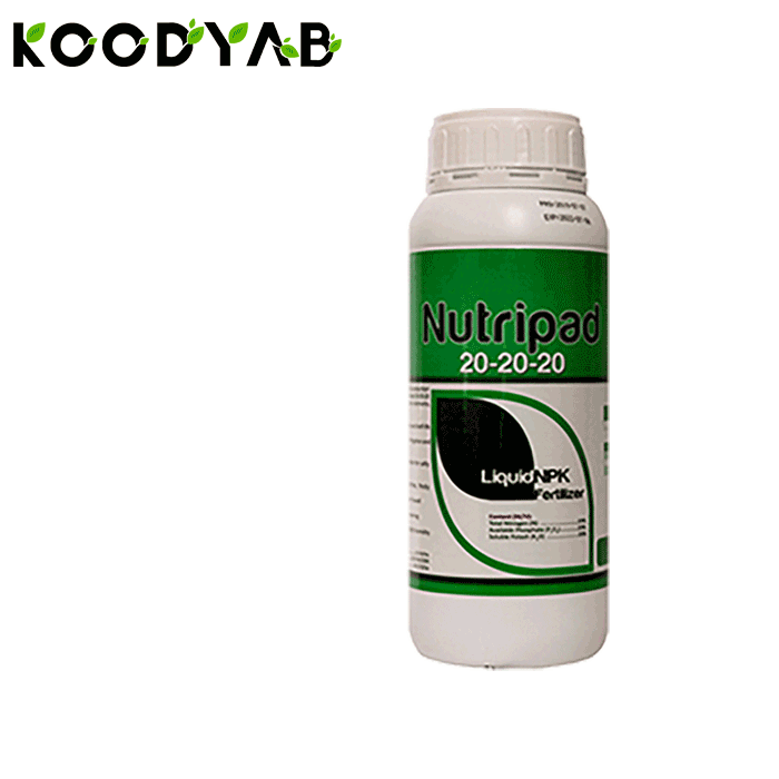 کود نوتری پاد 20 20 20 پادنا