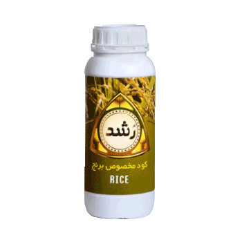 کود برنج رشد