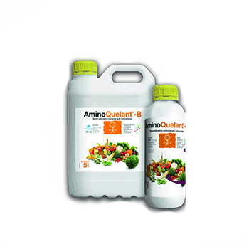 کود آمینو کوالانت بر بیوبریکا