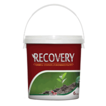 کود ریکاوری سوپرمکس