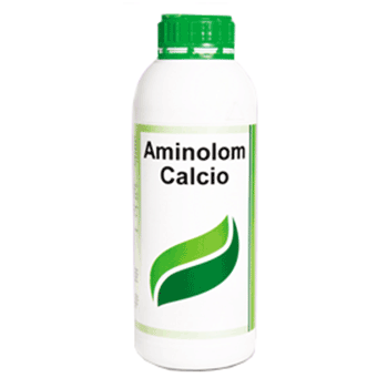 کود آمینو لوم کلسیو آلفردواینستا