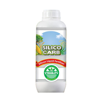 کود برنج بارافشان