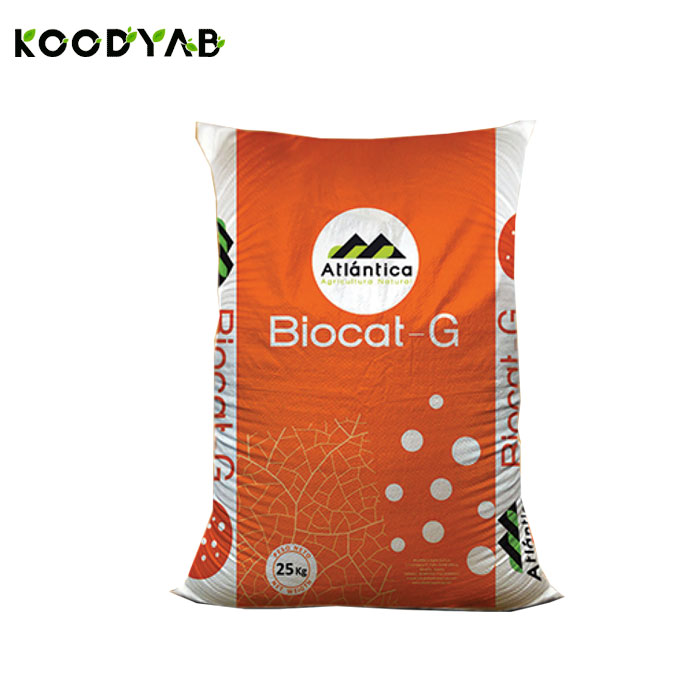 کود بیوکت جی آتلانتیکا