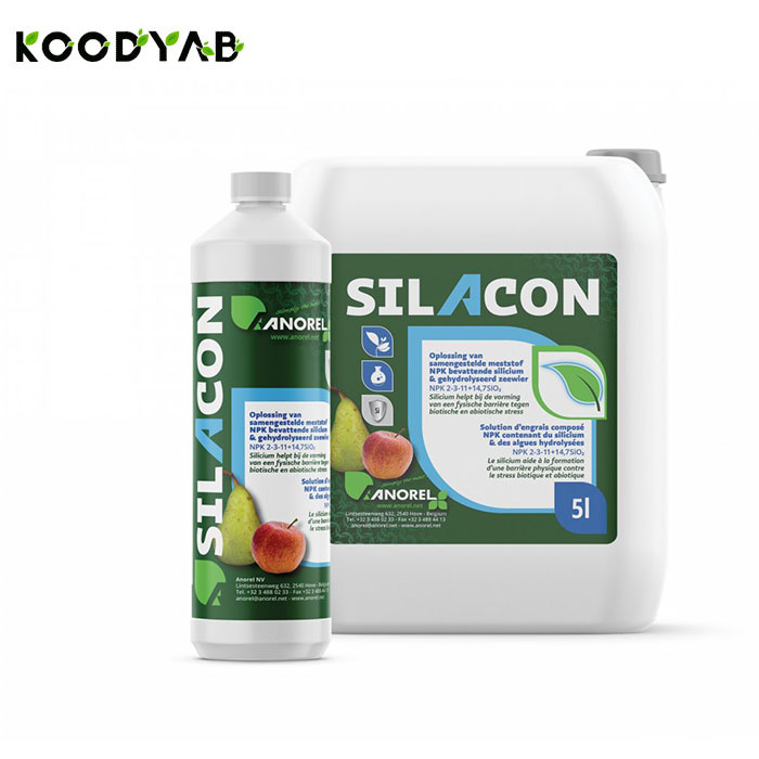 کود سیلاکون آنورل