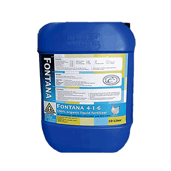 کود فونتانا ممون