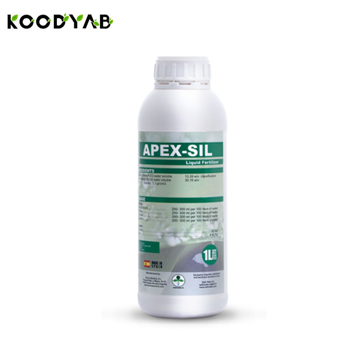 کود اپکسیل آنوکا