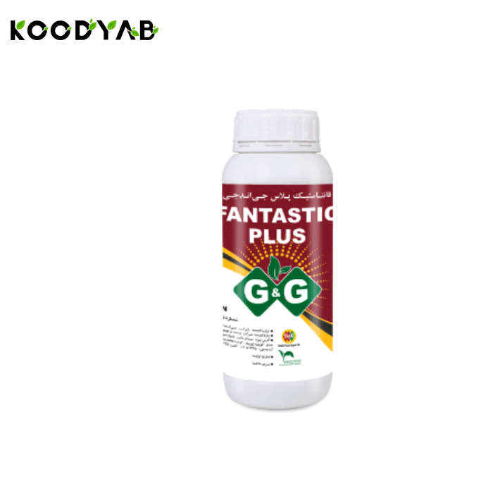 کود فانتاستیک جی اند جی