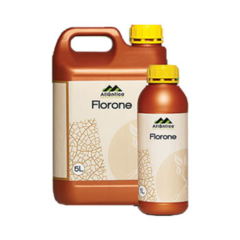 کود فلورون آتلانتیکا