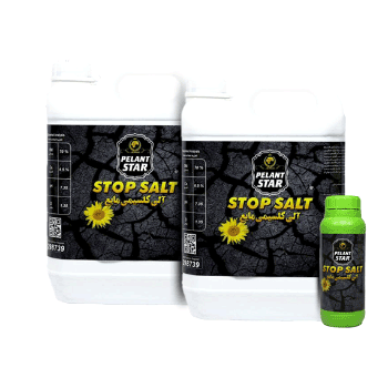 کود آلی کلسیمی پلنت استار