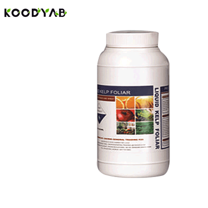 کود عصاره جلبک های دریایی بیوگرین