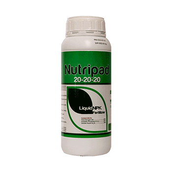 کود نوتری پاد 20 20 20 پادنا