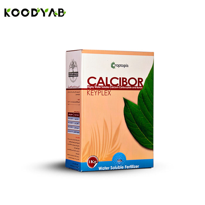 کود کی پلکس کلسی بر راپتوپیا