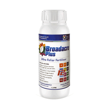 کود برادیکر سان رز