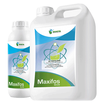 کود ماکسیفوس 20 40 مافا