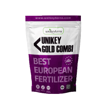 کود گلد کامبی یونی کی ترا