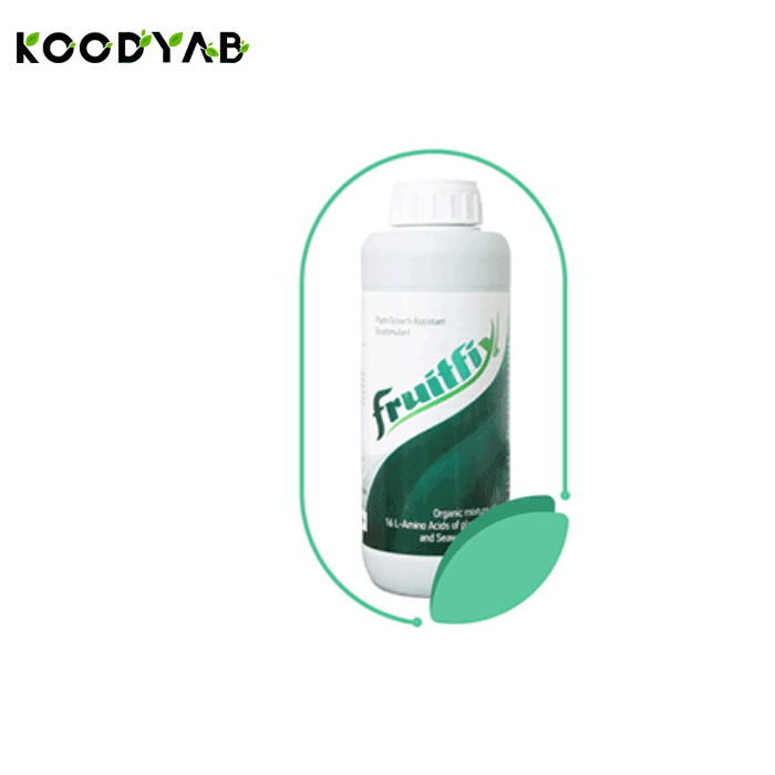 کود فروت ‌فیکس ای وی وای پی