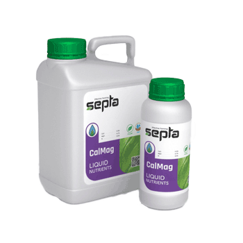 کود  کال مگ سپتا