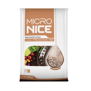 کود میکرونایس مونتانا