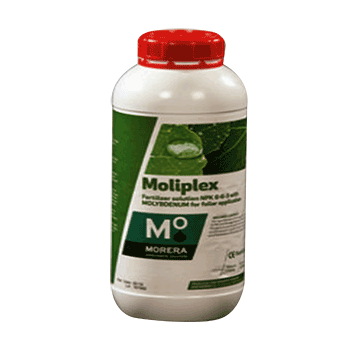 کود مولیپلکس موررا