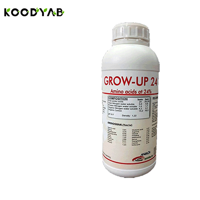 کود گروآپ انوکا