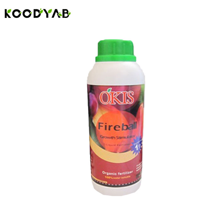 کود فایربال اکیس