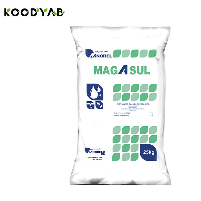 کود ماگاسول آنورل