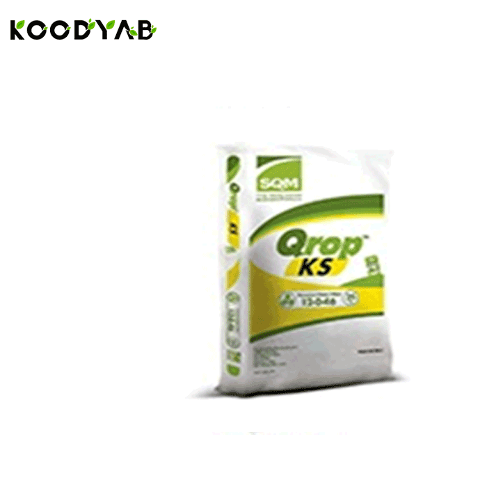 کود کوراپ کا اس اس کیو ام