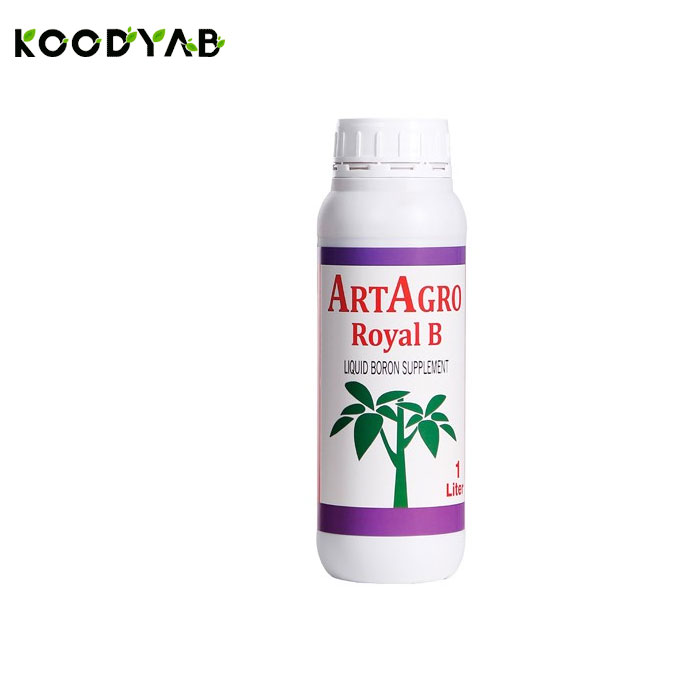 کود رویال بور آرتاگرو