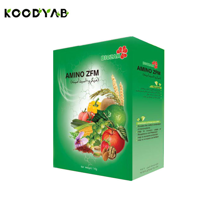 کود آمینو زد اف ام بیوزر