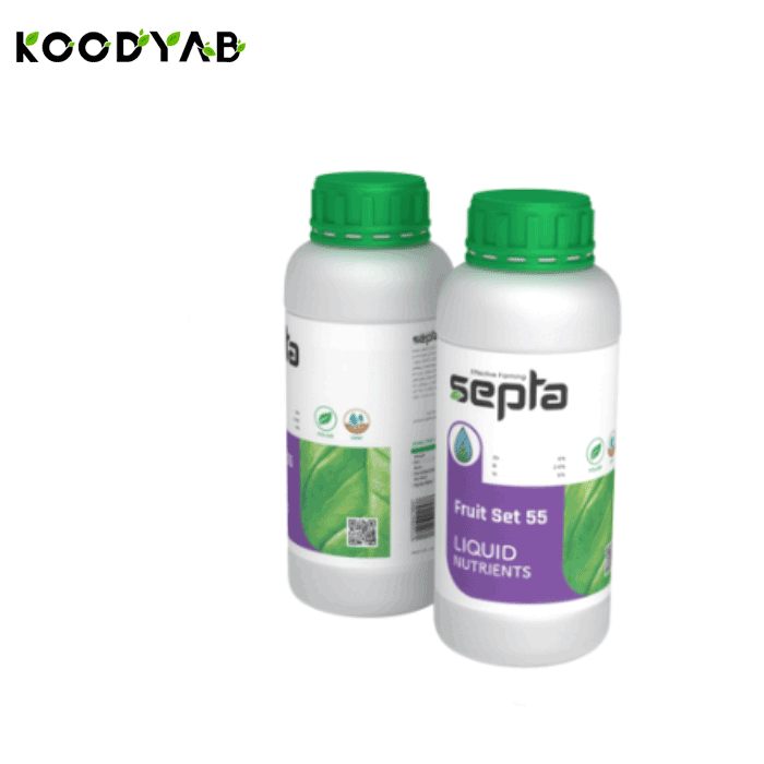 کود فروت ست 55 سپتا