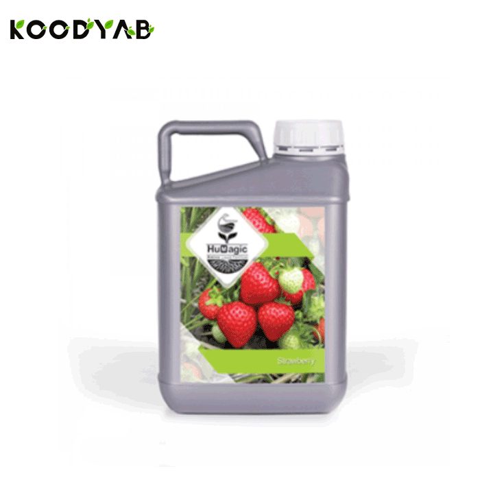 کود 5لیتری هیومجیک توت فرنگی پرهام