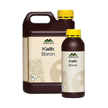 کود کلیک بر آتلانتیکا