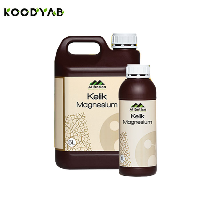 کود کلیک منیزیم آتلانتیکا