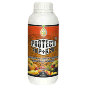 کود محافطت کننده 20 40 رایحه دشت سبز ایرانیان