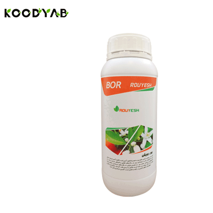 کود بور رویش