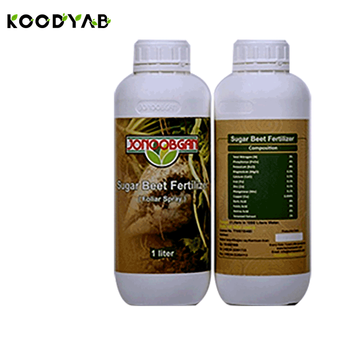 کود بیت سول جنوبگان