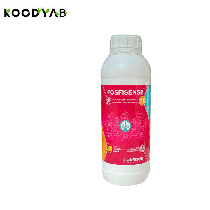 کود فسفیسنس 70 فیتوسنس