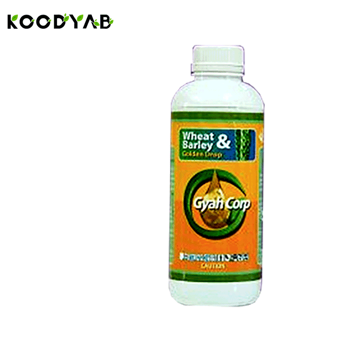 کود قطره طلا گندم و جو گیاه