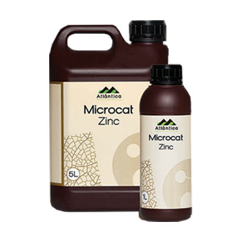 کود کلیک زینک آتلانتیکا