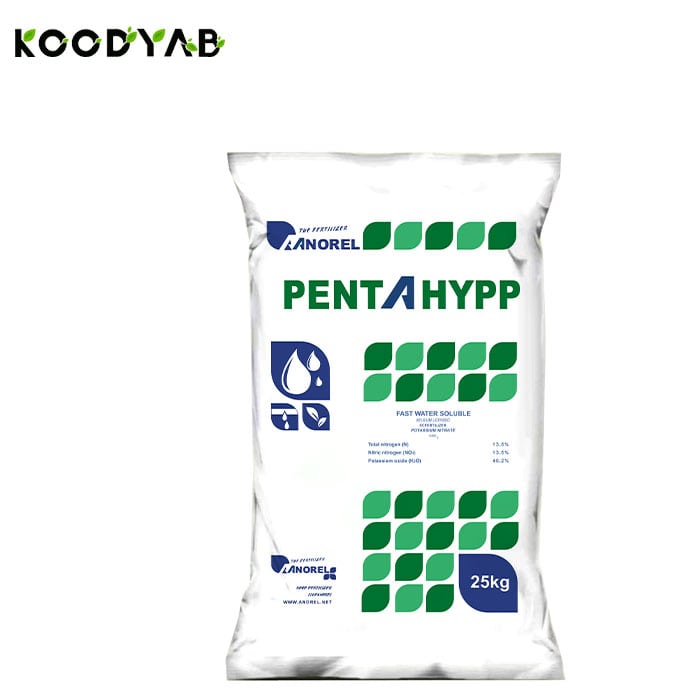 کود پنتاهایپ آنورل