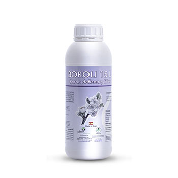 کود برولی آنوکا