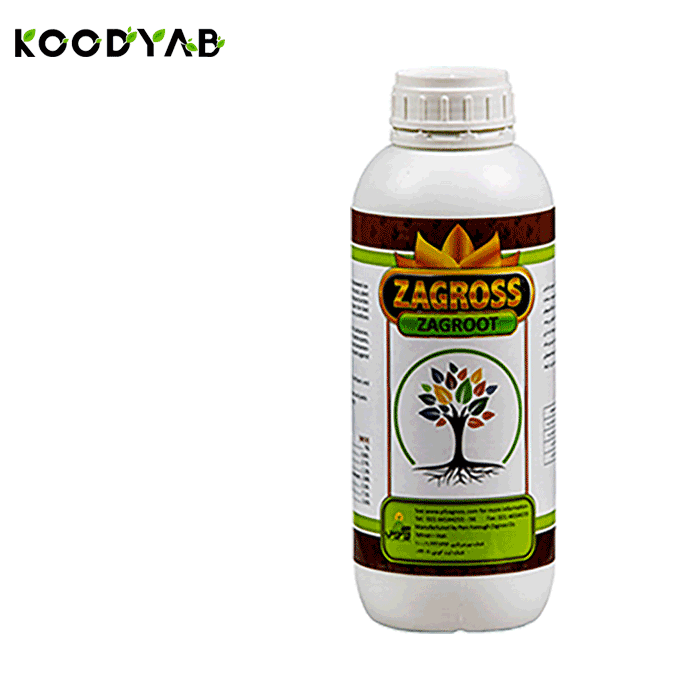 کود زاگروت زاگرس