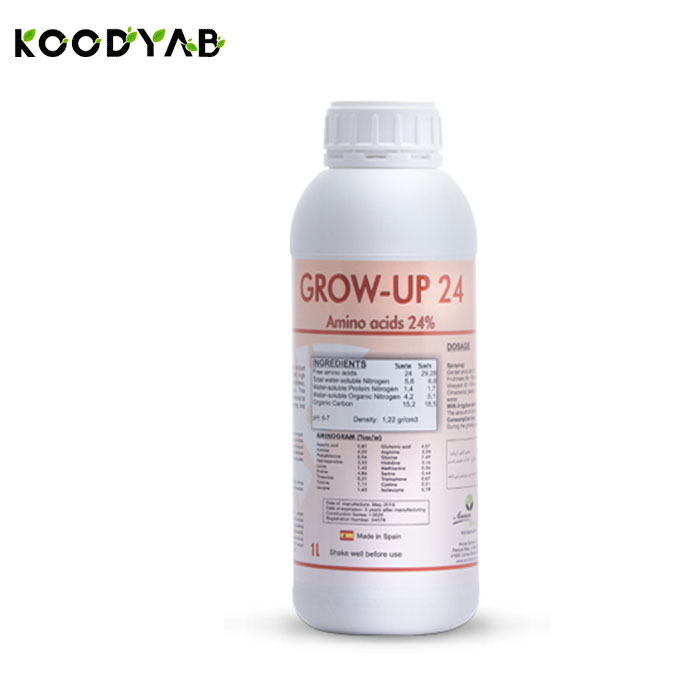 کود گروآپ 24  آنوکا